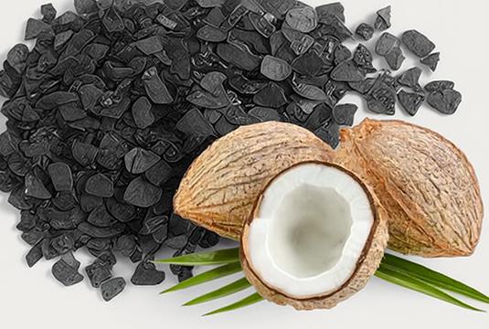 Coconut Shell Activated Carbon