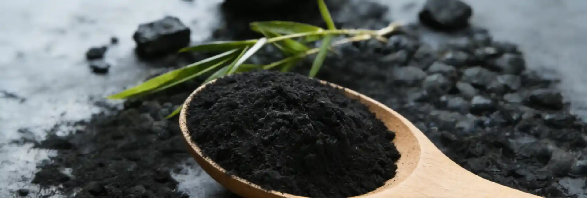 Wood Based Carbon Powder